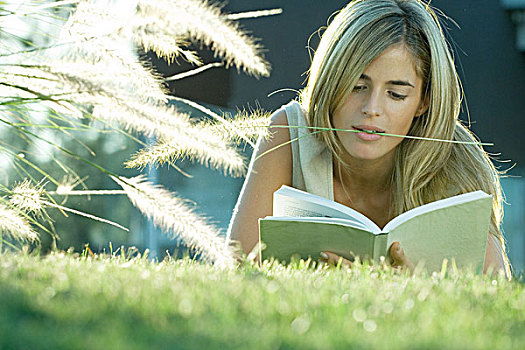 女人,卧,草丛,读,书本