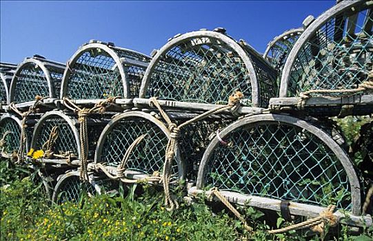 捕虾器,海岸,加拿大