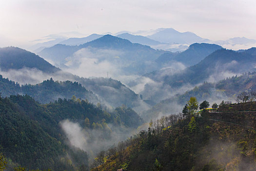 云雾山中