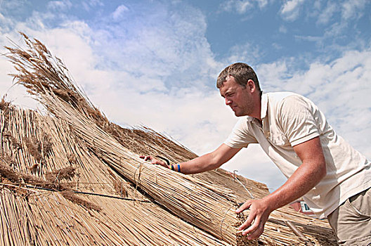 男人,工作,稻草,屋顶