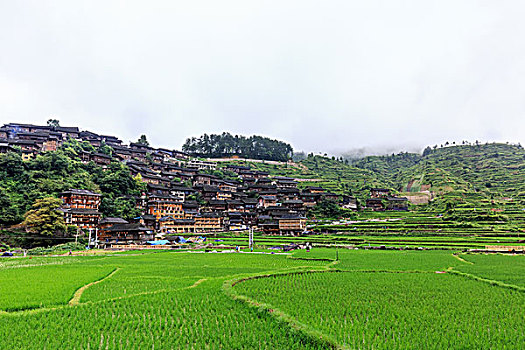 凯里雷山西江千户苗寨