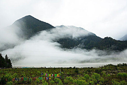 高原风光