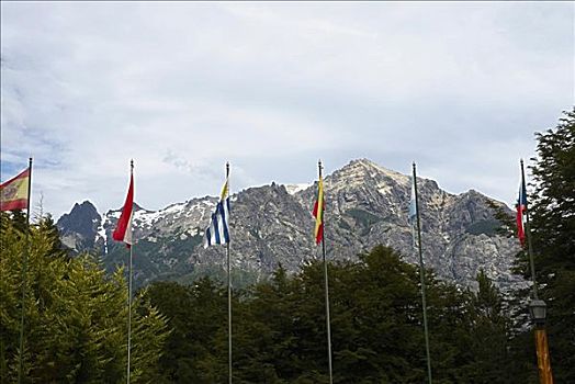 旗帜,树,正面,山峦,圣卡洛斯-德巴里洛切,阿根廷