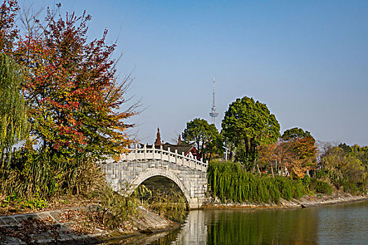 冬景,湖光冬色,水杉