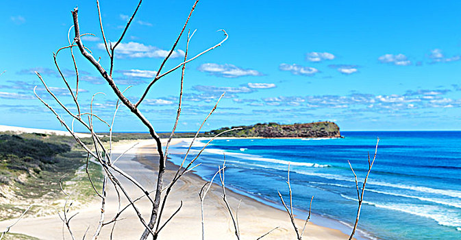 澳大利亚,海滩,圣灵岛,树,石头