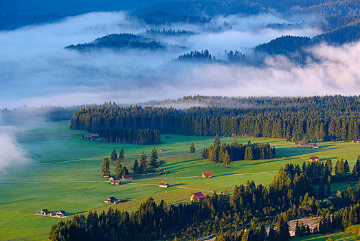 早晨,气氛,雾,风景,靠近,陆地,上巴伐利亚,巴伐利亚,德国,欧洲