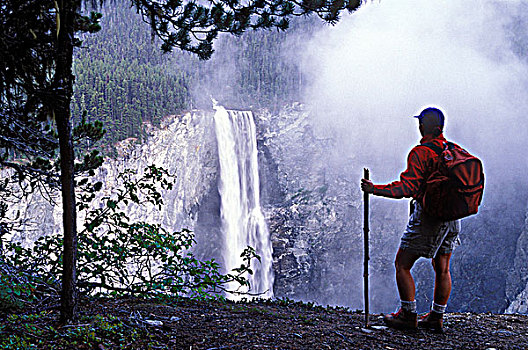 远足者,俯瞰,瀑布,公园,不列颠哥伦比亚省,加拿大
