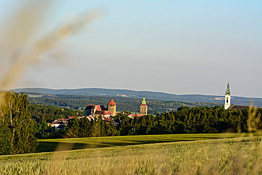 城堡,教堂,地点,布尔根兰,奥地利