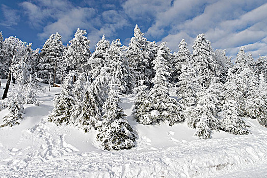 冬天,顶峰,布罗肯,哈尔茨山,萨克森安哈尔特,德国