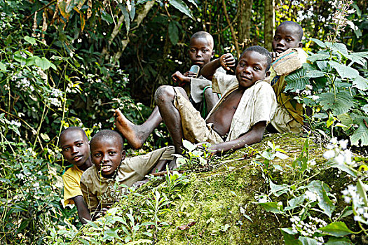 孩子,男孩,坐,丛林,省,刚果布拉柴维尔,非洲