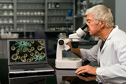 生物学家,看穿,显微镜,研究实验室