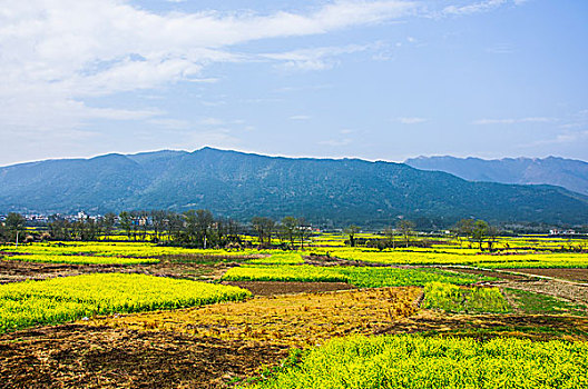 田园风光