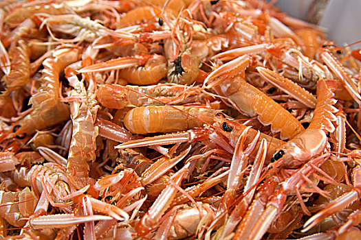 西班牙,加利西亚,圣地亚哥,一堆,海螯虾,出售,鱼市