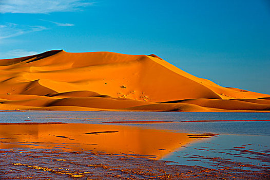 沙子,沙丘,晚间,亮光,反射,湖,重,雨,撒哈拉沙漠,南方,摩洛哥,非洲