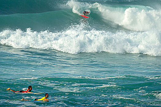 冲浪,室外,日落海滩,北岸,瓦胡岛,夏威夷