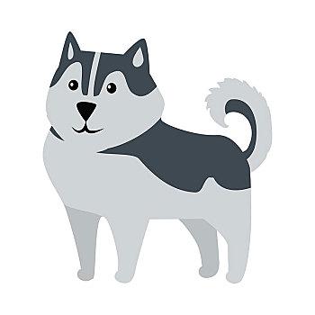 西伯利亚,哈士奇犬,尺寸,养狗,隔绝,役用犬,白色背景,一对,外套,直立,三角形,耳,独特,标记,基因,家族,矢量
