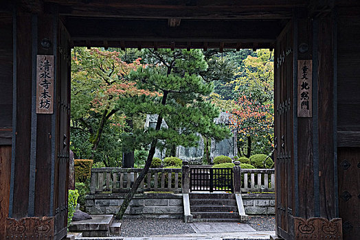 亚洲,日本,京都,风景,寺庙,复杂,清水寺