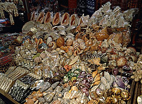 壳,纪念品,泰国
