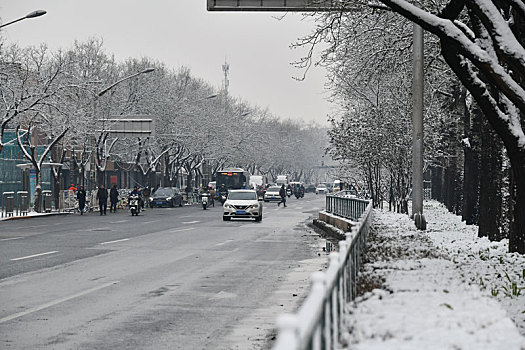 北京,白雪覆盖城市,雪景优美引客