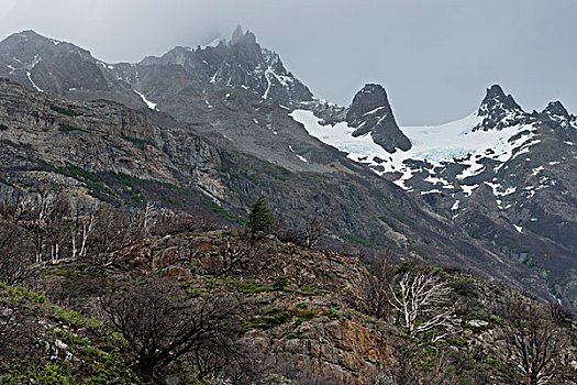 风景,山,托雷德裴恩国家公园,巴塔哥尼亚,智利