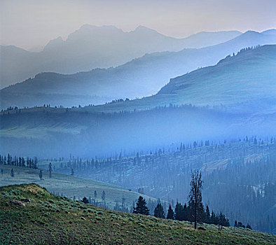 雾气,上方,黄石国家公园,怀俄明