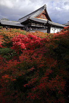 日本京都东福寺