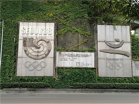 重庆奥林匹克中心