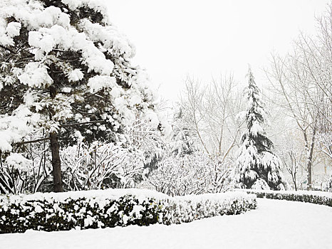 城市雪景