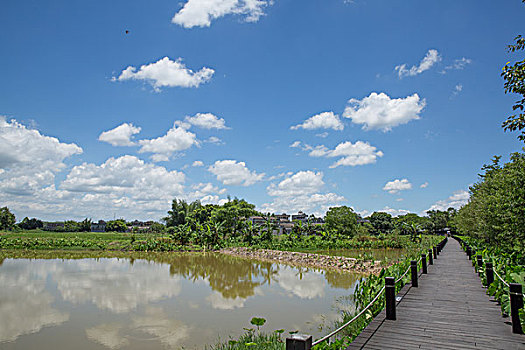 蓝天,白云,田野,水