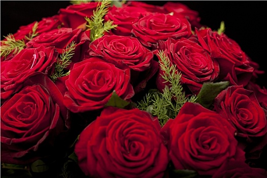 红玫瑰,花束