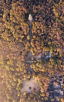 航拍秋天的南京灵谷寺