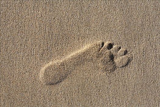 脚印,沙滩,富埃特文图拉岛,加纳利群岛