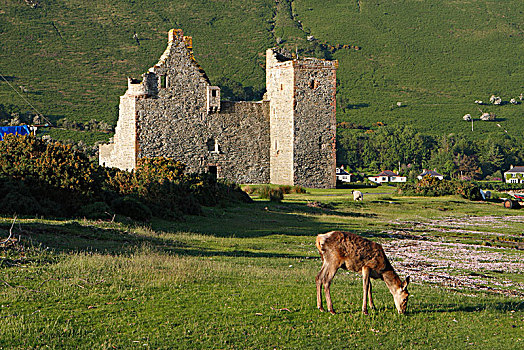 城堡,北爱尔郡,苏格兰