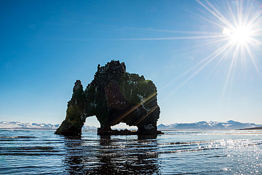 大象,石头,火山岩,海滩,玄武岩,阳光,北方,冰岛,欧洲