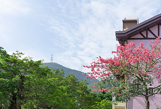 红花绿树楼榭远山风景图