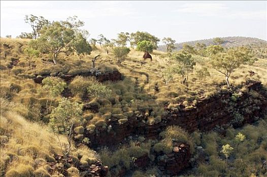风景,靠近,峡谷,卡瑞吉尼国家公园,区域,西澳大利亚