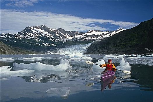 皮划艇手,湾,冰山,威廉王子湾,阿拉斯加,夏天