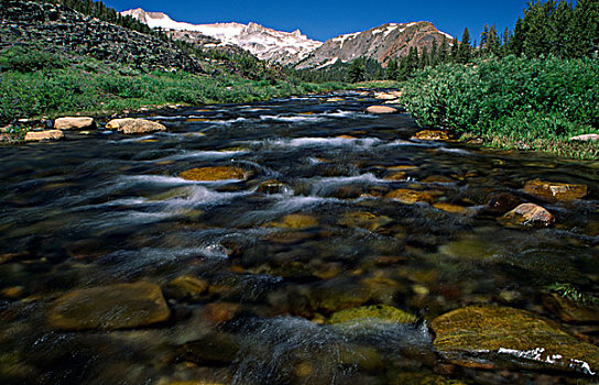 河流,流动,树林,挂包,溪流,优胜美地国家公园,加利福尼亚,美国