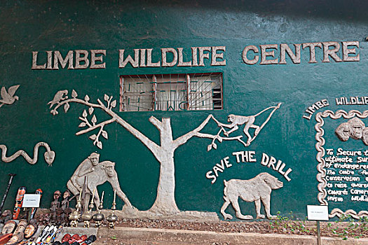 非洲,喀麦隆,民间艺术,出售,壁画,野生动物,中心