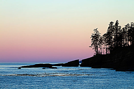 加拿大,环太平洋国家公园,西海岸小径,日出,海滩,营地