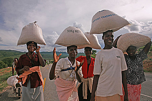 津巴布韦,女人,食物,协助,分配,中心,十二月,2007年
