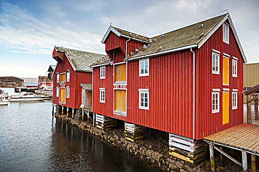 红色,黄色,木质,沿岸,房子,挪威,渔村