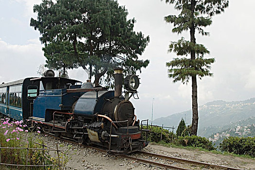 蒸汽机车,轨道,大吉岭,喜玛拉雅,铁路,西孟加拉,印度