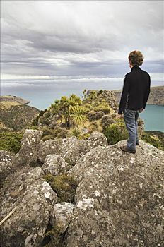 男人,看,远景,半岛,新西兰
