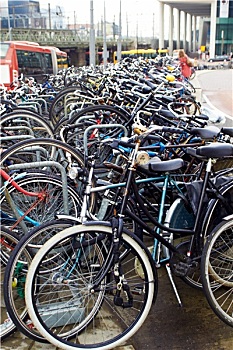 阿姆斯特丹,自行车,停放,靠近,中央车站