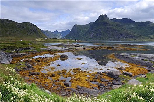 风景,靠近,罗弗敦群岛,挪威,斯堪的纳维亚