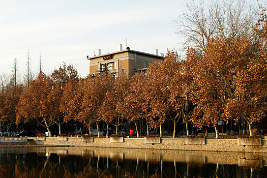 天津大学,南开大学