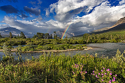 彩虹,上方,河,冰川国家公园,蒙大拿,美国
