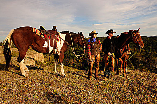 女牛仔,牛仔,站立,马,缰绳,注视,远景,萨斯喀彻温,加拿大