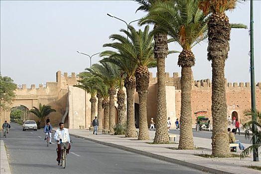 骑车,街上,仰视,棕榈树,老,壁,达鲁丹,摩洛哥